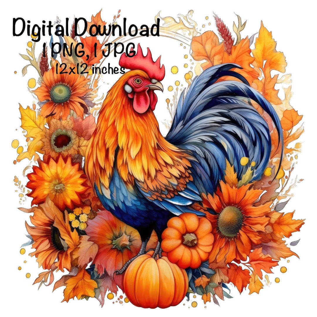 Rooster Fall Graphics Rooster PNG Fall Thanksgiving Sublimation Rooster Sublimation Png Cute ...
