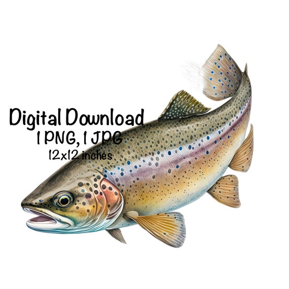 Trout Fish Watercolor Freshwater Fish Clipart Trout Swimming PNG