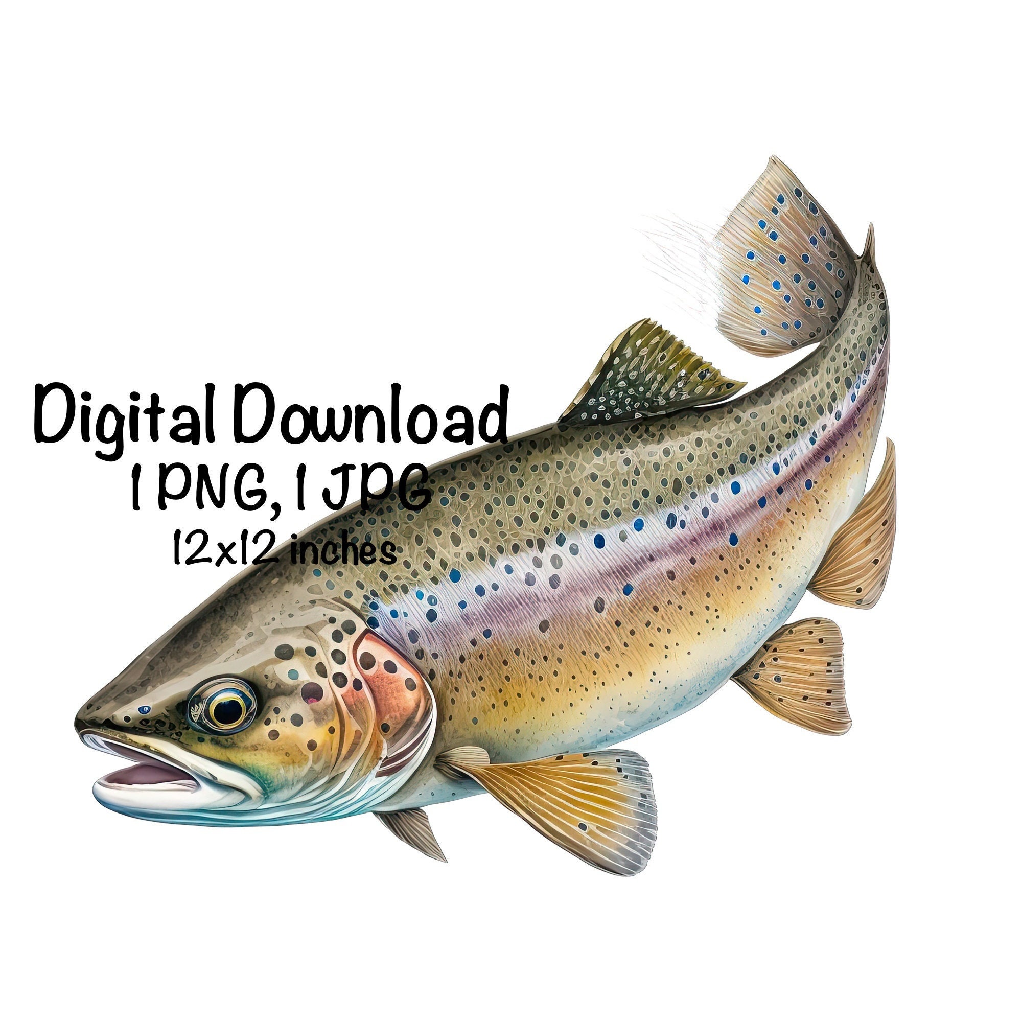 Trout Fish Watercolor Freshwater Fish Clipart Trout Swimming PNG Commercial  Use Watercolor Illustration Rainbow Trout Fishing Fish Print PNG