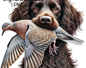Boykin Dog PNG | Dove Hunting | Bird Dog PNG | Dove Hunt Sublimation | Hunting Dog Dove Hunter Sublimation | Dove Hunting Dog Boykin & Dove
