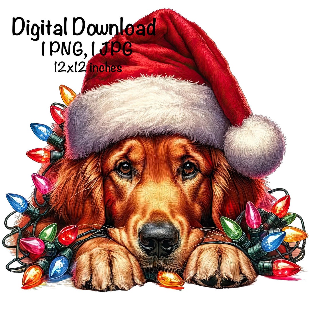 Christmas Golden Retriever Dog PNG Christmas Lights Santa Retriever ...