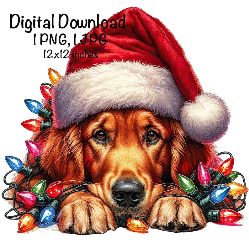 Christmas Golden Retriever Dog PNG Christmas Lights Santa Retriever ...