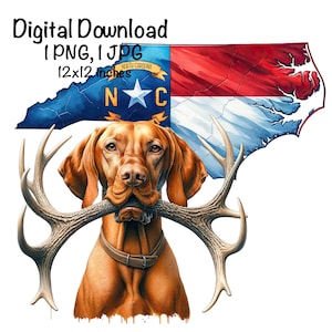 Chien de chasse au chevreuil de Caroline du Nord PNG Vizsla Dog SC Carte Vizsla Hunting Sublimation Deer Antlers Hunter Sublimation à usage commercial Hunter png
