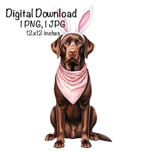 Easter Labrador PNG, Easter Bunny Labrador Dog Sublimation, Hunting PNG ...