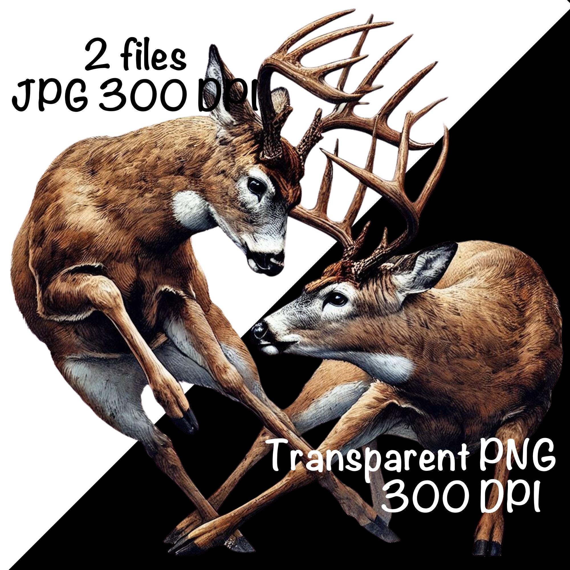 鹿の闘角、角、雄鹿、狩猟昇華PNG、野生動物、荒野、自然、枝角、昇華、狩猟シーズン、ビンテージ、闘鹿 - Etsy 日本, image size:2000x2000