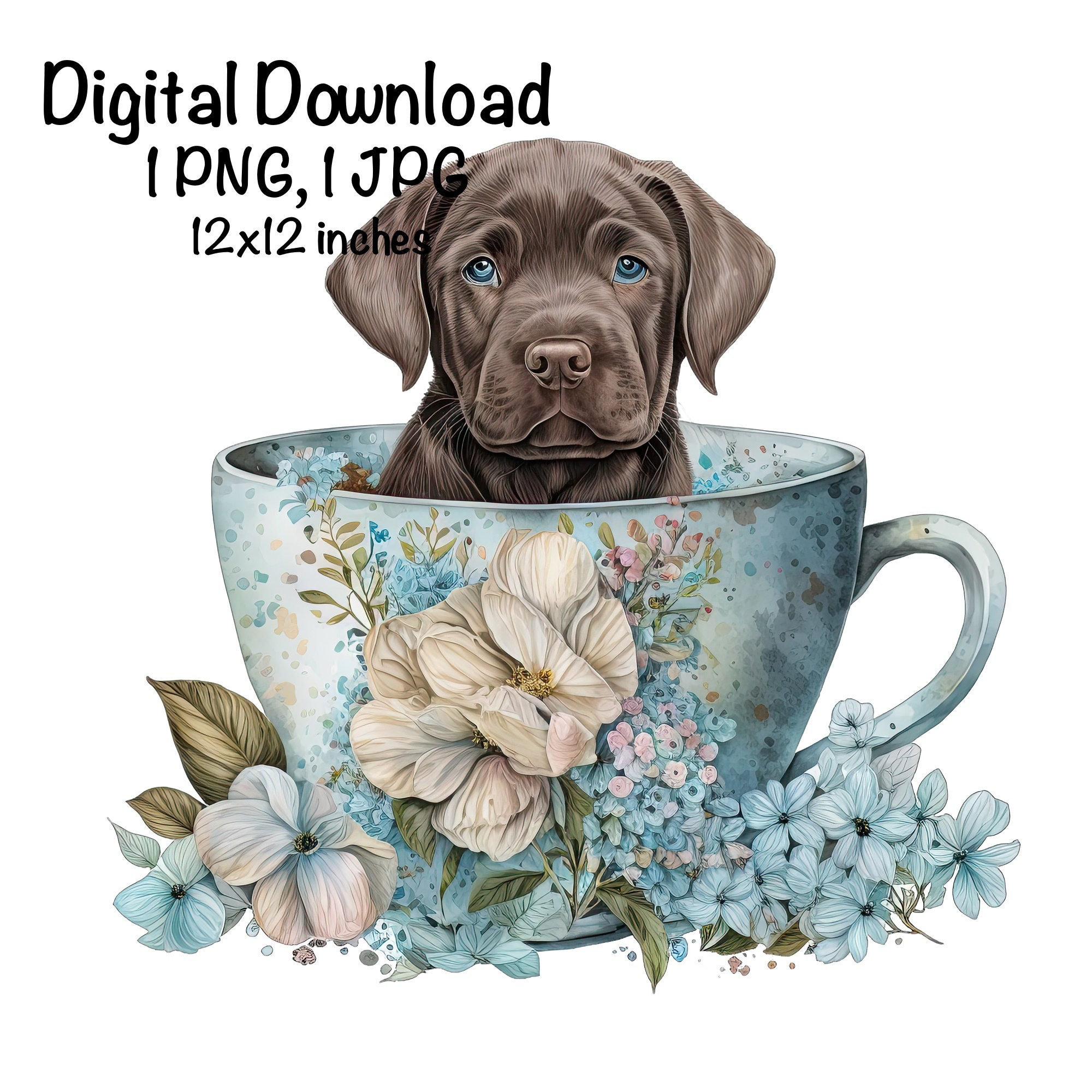 Labrador retriever teacup 2025