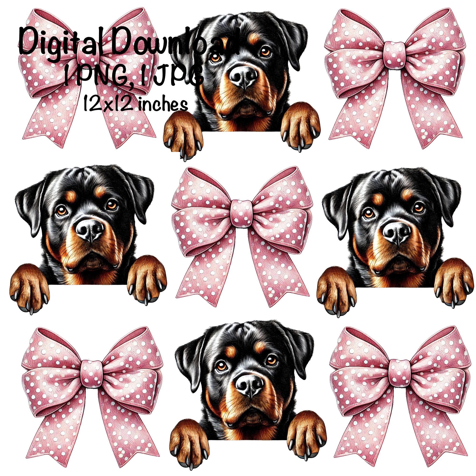 Rottweiler chien PNG, sublimation de chien coquette, rottweiler maman amoureux des chiens, conception de chemise rose noeud coquette, mignon bébé chie