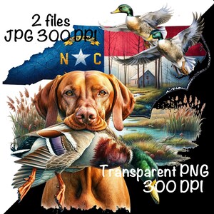 May include: A brown and white Vizsla dog with a duck in its mouth. The dog is standing in front of a green and blue landscape with a small wooden house in the background. The North Carolina state flag is visible in the top left corner of the image. The text "2 files JPG 300 DPI" is in the top left corner of the image. The text "Transparent PNG 300 DPI" is in the bottom right corner of the image.