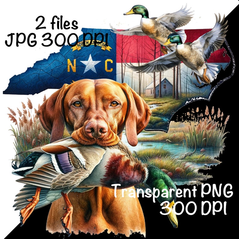 May include: A brown and white Vizsla dog with a duck in its mouth. The dog is standing in front of a green and blue landscape with a small wooden house in the background. The North Carolina state flag is visible in the top left corner of the image. The text "2 files JPG 300 DPI" is in the top left corner of the image. The text "Transparent PNG 300 DPI" is in the bottom right corner of the image.