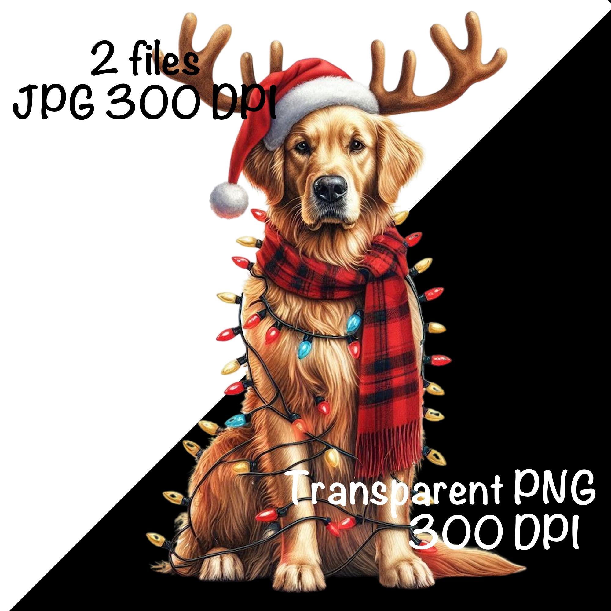Christmas Golden Retriever PNG Christmas Lights Santa Reindeer ...