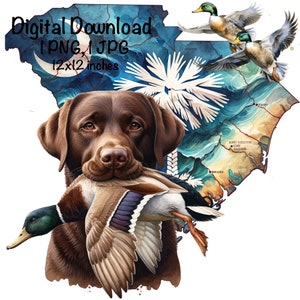 South Carolina Duck Jagdhund PNG | Choclate Labrador Hund SC Landkarte Jagd Sublimation | Stockente Entenjagd PNG | Entenjäger Sublimation