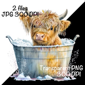 Op de afbeelding: Een Highland-koe met lange, ruwe bruine vacht neemt een bad in een metalen badkuip. De badkuip is gevuld met zeepwater en bubbels. De koe kijkt met een nieuwsgierige blik naar de camera.