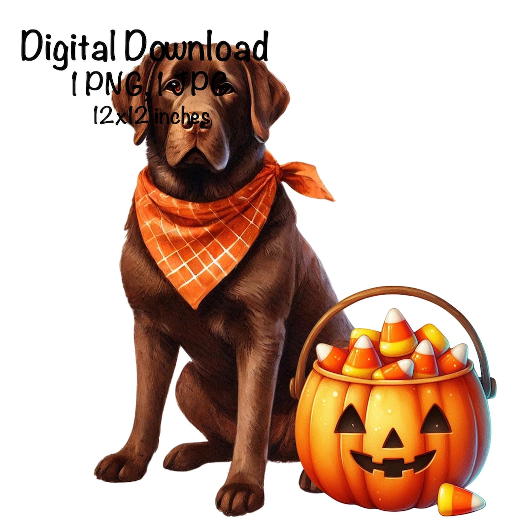 Halloween Labrador Retriever Lab Dog Pumpkin Candy Bucket PNG ...