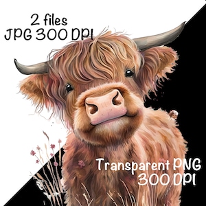 Highland Cow Watercolor Clipart Cute Highland Cow Funny Baby Cow PNG ...