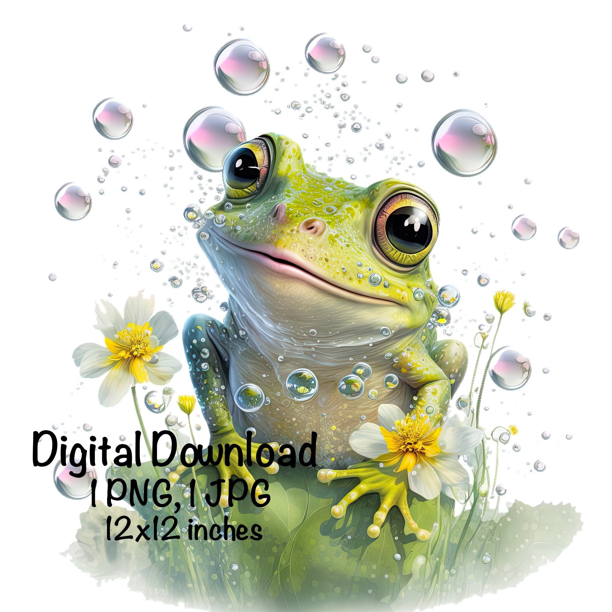Frog, Cute Frog Clipart, Woods Forest Animals Frog PNG, Frog Water