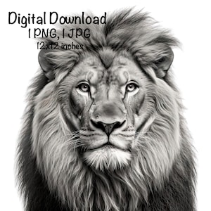 Puede incluir: Una fotograf&iacute;a en blanco y negro de la cara de un le&oacute;n. El le&oacute;n tiene una melena espesa y mira directamente a la c&aacute;mara. La imagen mide 30,5 x 30,5 cm.