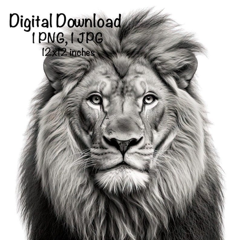 Puede incluir: Una fotograf&iacute;a en blanco y negro de la cara de un le&oacute;n. El le&oacute;n tiene una melena espesa y mira directamente a la c&aacute;mara. La imagen mide 30,5 x 30,5 cm.