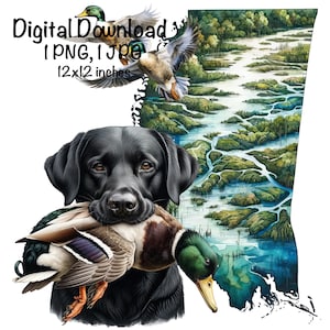 Mississippi Duck Jagdhund PNG Schwarzer Labrador Retriever Hund MS Map Jagd Sublimation Stockente Duck Sublimation Kommerzielle Nutzung Entenjäger