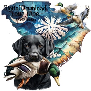 South Carolina Duck Jagdhund PNG | Labrador Hund SC Karte | Jagd Sublimation | Stockente Ente Sublimation | Entenjäger png | Jagd PNG
