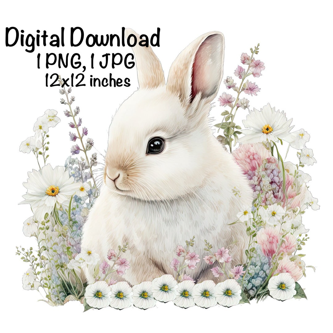 Cute Bunny Watercolor Clipart White Bunny Spring Daisy Flowers Farm ...
