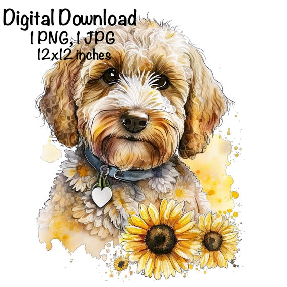 Beagle doodles store