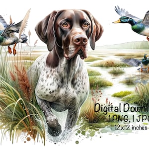May include: A brown and white German Shorthaired Pointer dog running through a grassy marsh with three ducks flying overhead. The dog is in focus and the ducks are out of focus. The image is a digital download of a PNG and JPG file, 12x12 inches.