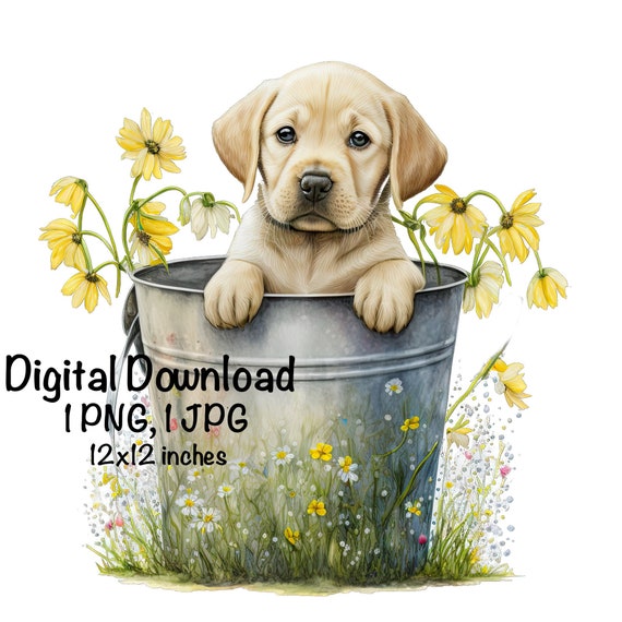 Labrador Puppy Watercolor Clipart Cute Lab Dog in a Bucket Baby