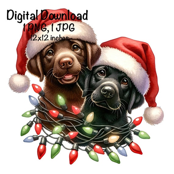 Santa Labrador Retriever Reindeer Light Christmas Gifts T-Shirt Santa Labrador Retriever Reindeer Light Christmas Gifts T-Shirt