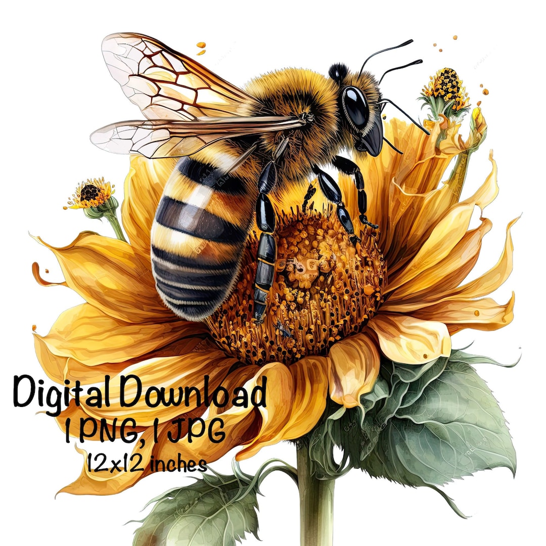 Honey mi Honey - foxyillustrations 原画 349713002.jpg?1517468348