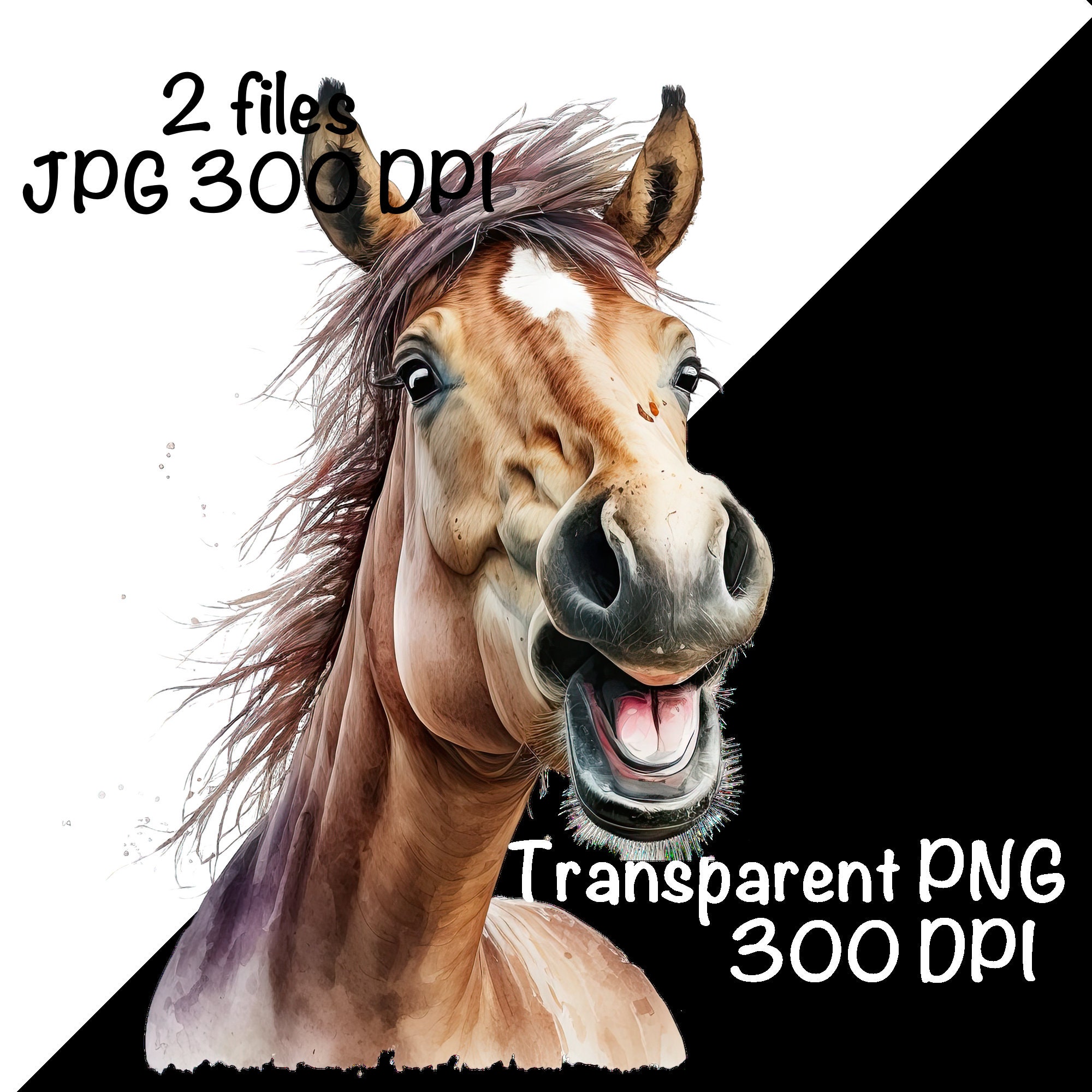 Funny Horse Watercolor Clipart Cute Horse Neigh Horse Riding Etsy