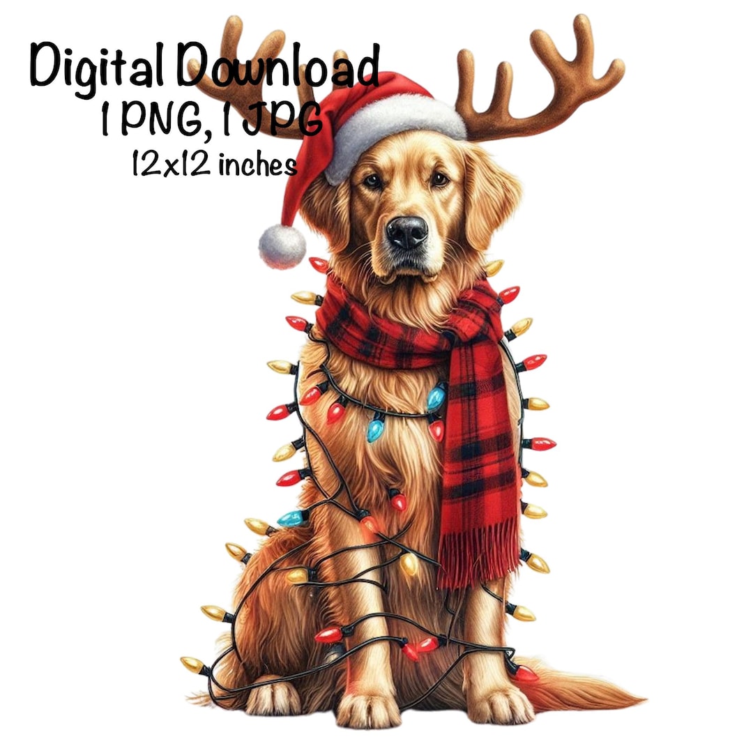 Christmas Golden Retriever PNG Christmas Lights Santa Reindeer ...