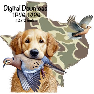 Camouflage Taube Jagd PNG | Golden Retriever Hund PNG | Camouflage Taube jagen Zustand Karte png | Jagdhund Taube Jäger png | Taube bei der Jagd