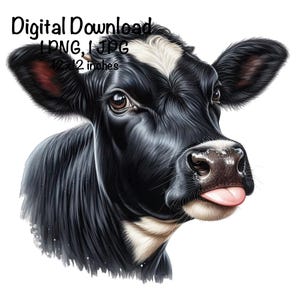 Funny Black Milk Cow Calf PNG, Clipart Farm Cow PNG, Digital Download, Farm Milk Holstein Cow Graphic Dairy Cattle Design Illustration Print