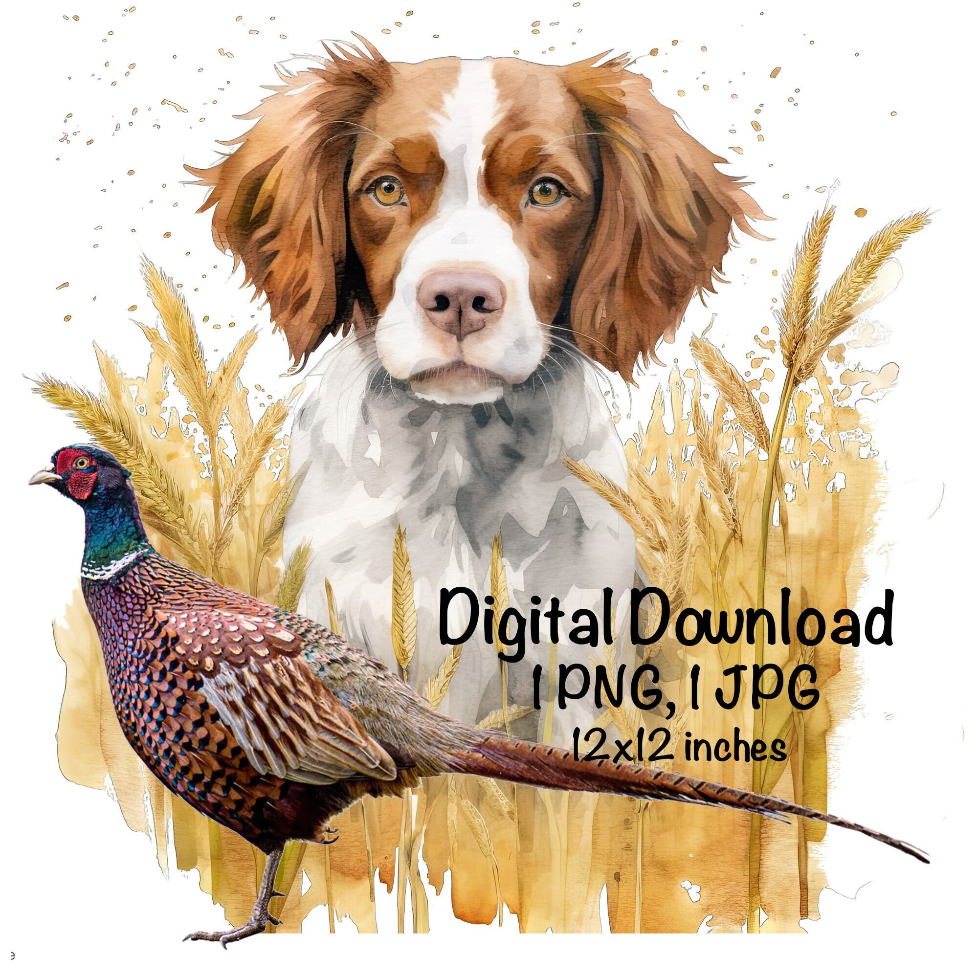 Brittany Upland Bird Dogs Brittany Dog Hunting Dogs Brittany