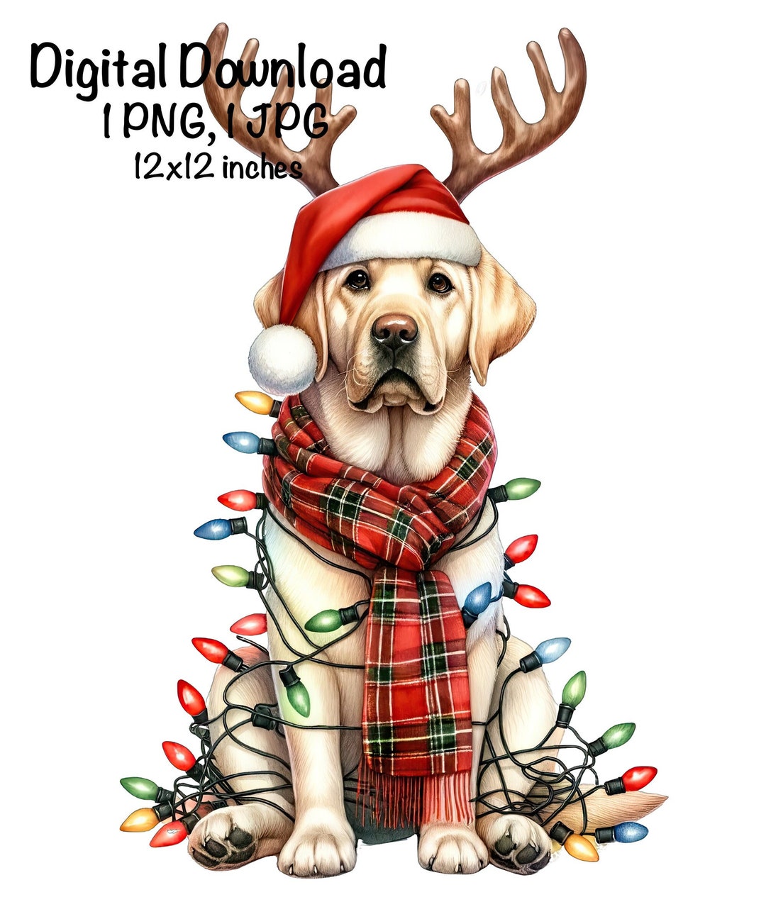 Christmas Labrador PNG Christmas Lights Santa Cream Labrador