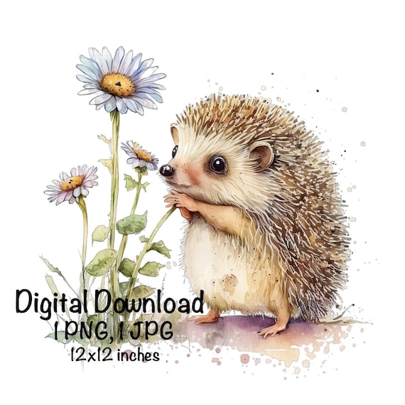 Hedgehog, Cute Hedgehog clipart, Forest Animals Hedgehog PNG, Hedgehog Daisy Flowers Sublimation Hedgehog Printable Hedgehog PNG Watercolor