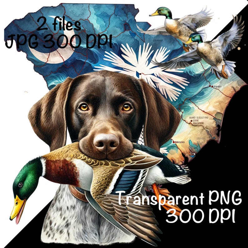 South Carolina Duck Hunting Dog PNG, Pointer Dog SC Map Hunting