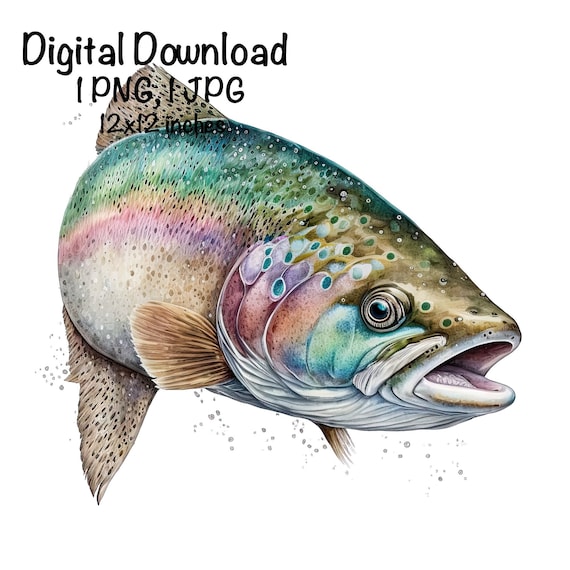 Trout Fish Watercolor Freshwater Fish Clipart Trout Swimming PNG Commercial  Use Watercolor Illustration Rainbow Trout Fishing Fish Print PNG 
