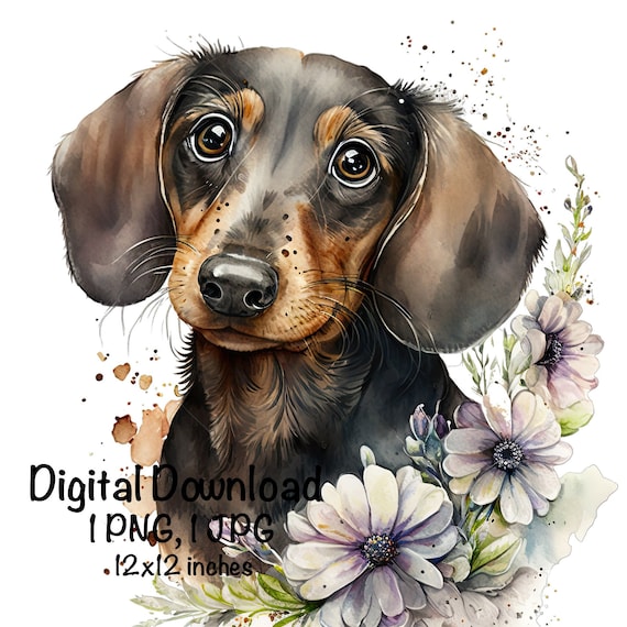 原画「ダックスフンドの草原散歩」犬/風景/イラスト/絵/アート/額付き 原画「ダックスフンドの草原散歩」犬/風景/イラスト/絵/アート