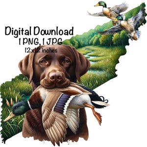 Tennessee Duck Jagdhund PNG | Labrador Stockente Duck TN Karte Jagd Sublimation | Duck Hunter Lab Sublimation | Wildente Jagdhund png