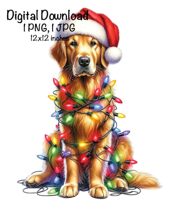 Selmad Winter-Hausflagge Golden Retriever – 71x102 Cm, Wetterfest, Doppelseitig Bedruckt, Mit Schneemotiv