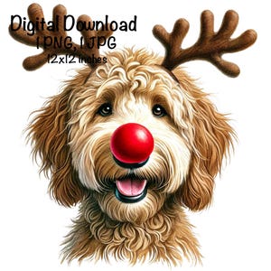 Puede incluir: Imagen de descarga digital de un perro Goldendoodle con cuernos de reno y una nariz de payaso roja. La imagen incluye el texto "Digital Download 1 PNG, 1 JPG 30x30 cm."