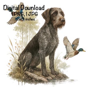 Pode incluir: Ilustração em aquarela de um cão marrom e cinza sentado perto da água, com dois patos em voo. A imagem inclui o texto "Digital Download PNG, JPG 30x30 cm."