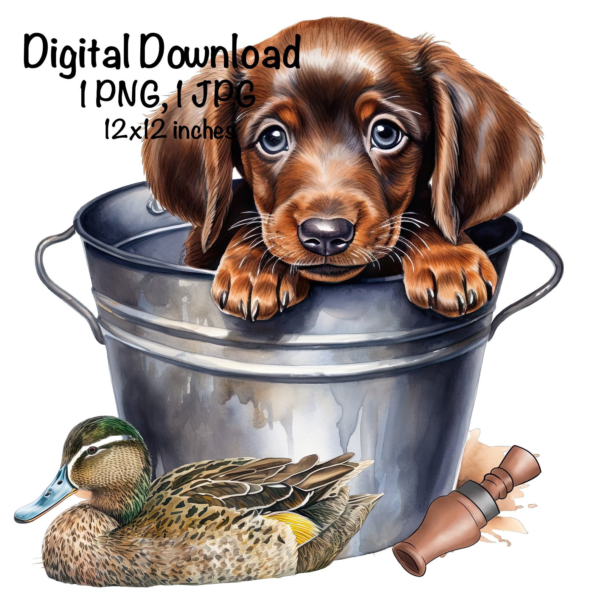 Dachshund duck hunting sales