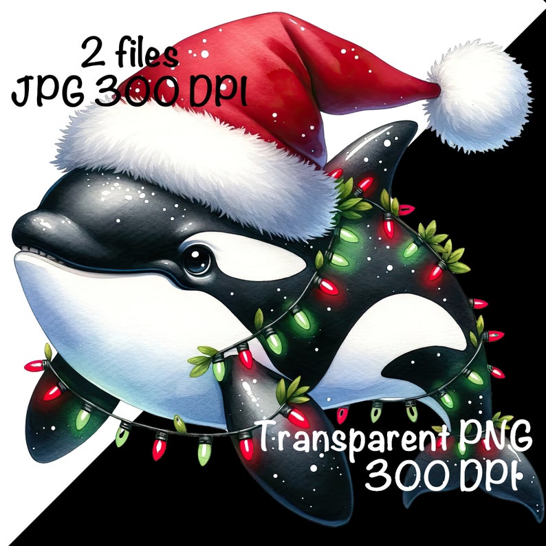 K&ouml;nnte beinhalten: Eine Cartoon-Illustration eines schwarz-wei&szlig;en Schwertwals, der einen roten Weihnachtsmann-Hut mit wei&szlig;em Besatz und eine Lichterkette aus roten und gr&uuml;nen Weihnachtslichtern um seinen K&ouml;rper tr&auml;gt.