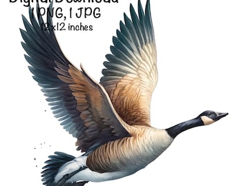 Candian Goose PNG | Wild Canda Goose Sublimation PNG | Geese png | Digital Download | Flying Goose Hunting Season PNG | Hunter Sublimation