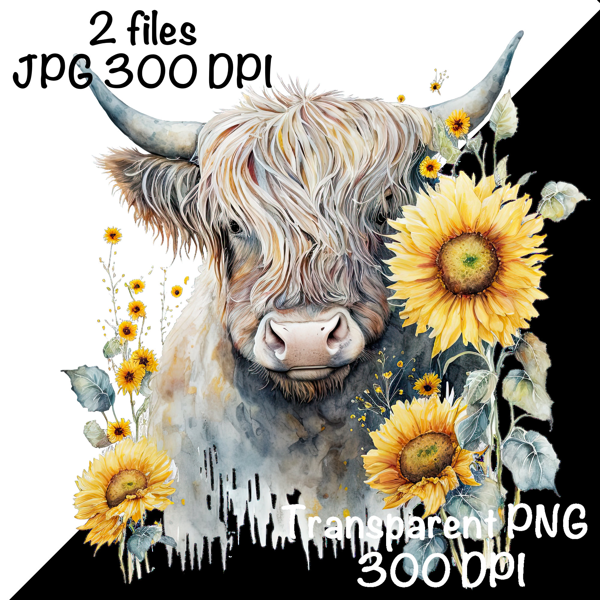 Highland Cow Watercolor Clipart Highland Cow Sunflowers PNG Commercial ...