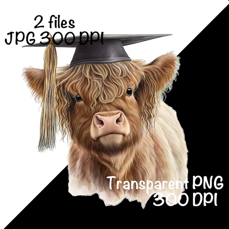 Highland Cow Watercolor Clipart Highland Cow Graduation Cap - Etsy