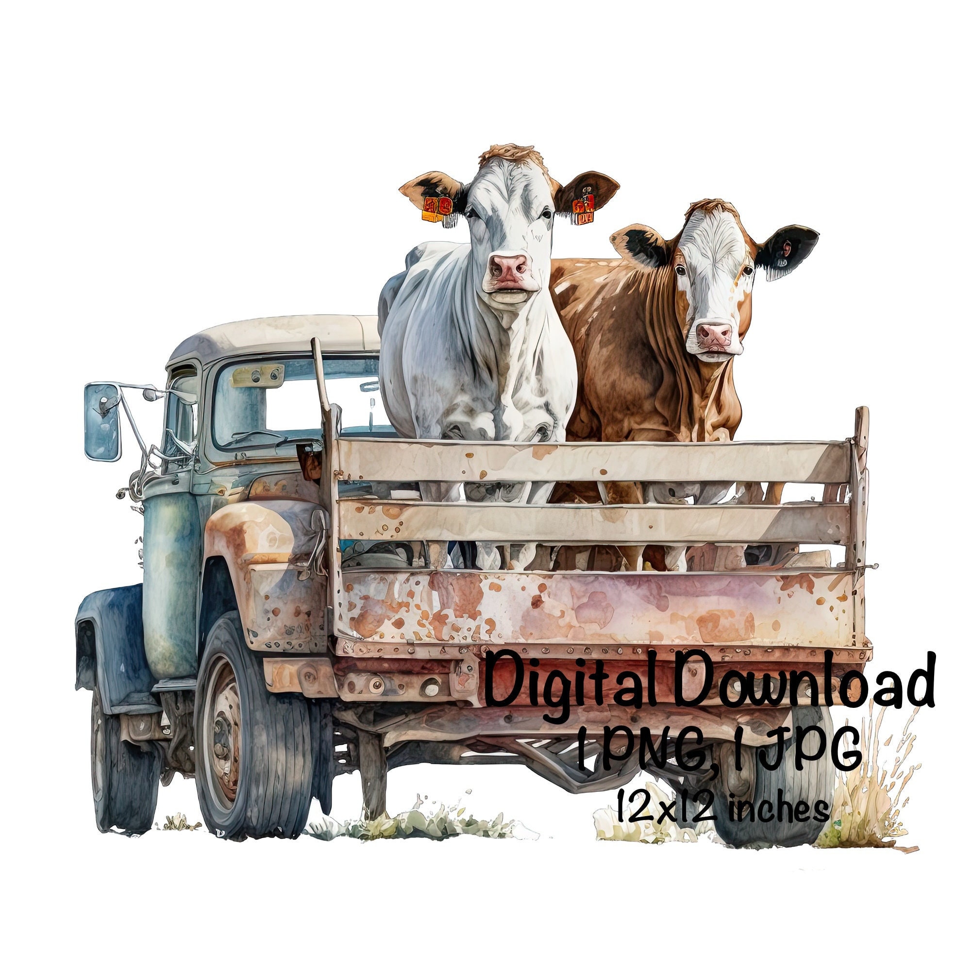 Farm T Ruck Cows in the Back of a Farm Truck Watercolor Cow Old Truck Clipart Wall ...