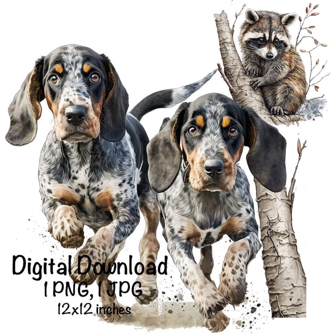 Two Bluetick Coonhound Dogs Watercolor Clipart Coonhound Dogs & Racoon